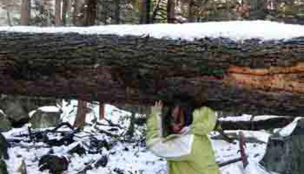 Lily Liu played under the wood.