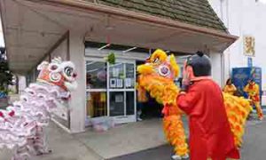 Chinese New Year Lion Dance