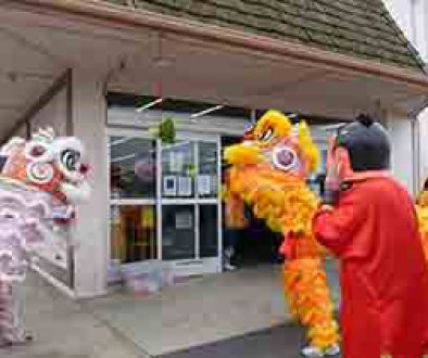 Lion Dance in 2017 Chinese New Year